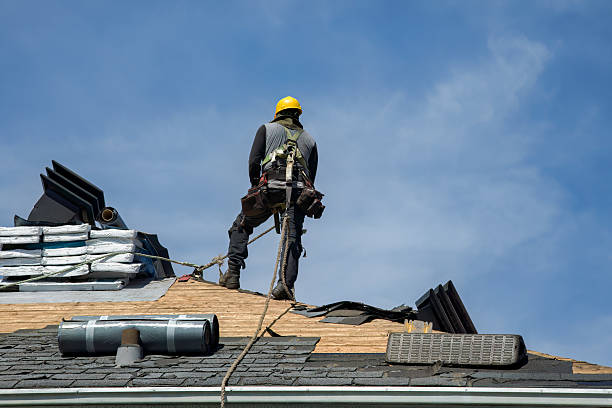 Professional Storm Damage Roof Repair technician working in Traphill, NC